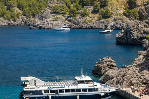 All of Mallorca: Exclusive Experience in an Intimate Group (12 people max.)