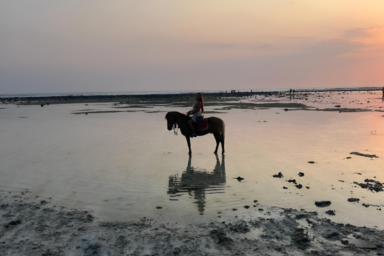 Reiten am Strand auf der Insel Gili