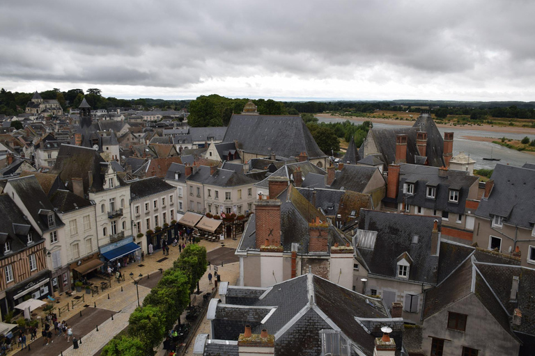 Amboise: Tour a pie guiado privado con el castillo de Amboise