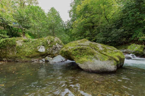 From Batumi: Mtirala National Park Private Tour with BBQ