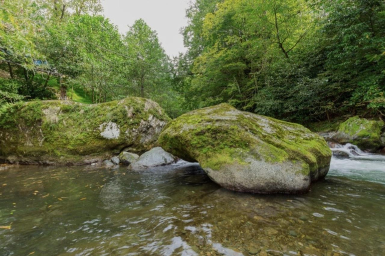 From Batumi: Mtirala National Park Private Tour with BBQ