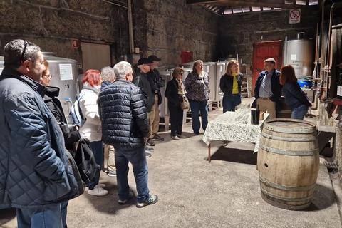 DOURO VALLEY: Premium Wine Tour, Cruise & Winery´s Lunch Shared Group Tour with Hotel Pick-up and Drop-Off