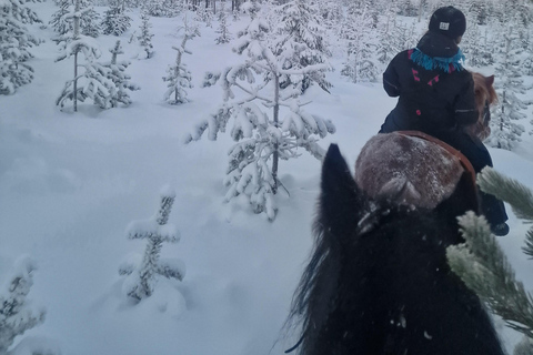 Rovaniemi: Horseback Ride & Lappish Lunch at Ranch