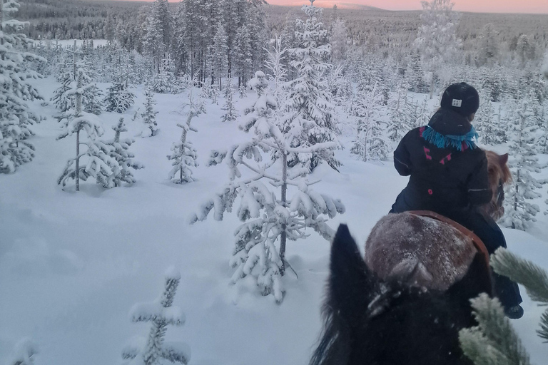 Rovaniemi: Horseback Ride & Lappish Lunch at Ranch