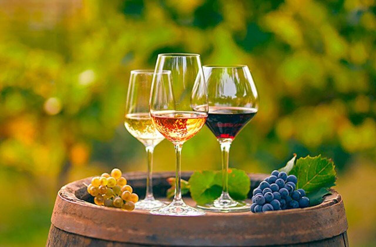 Alicante: Altes Weingut mit Verkostungen & arabische Burg (12. Jh.)