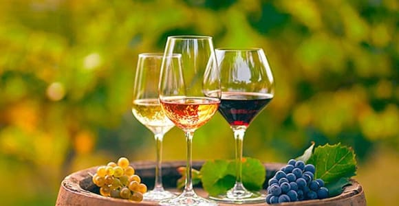 Alicante: Winery tour with tastings (small friendly group)