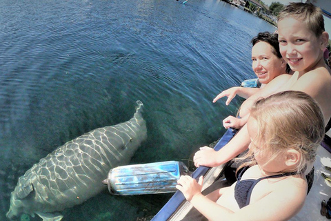 Crystal River: Manatee Viewing Cruise