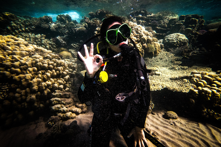 Mergulho em Aqaba e cursos de mergulho