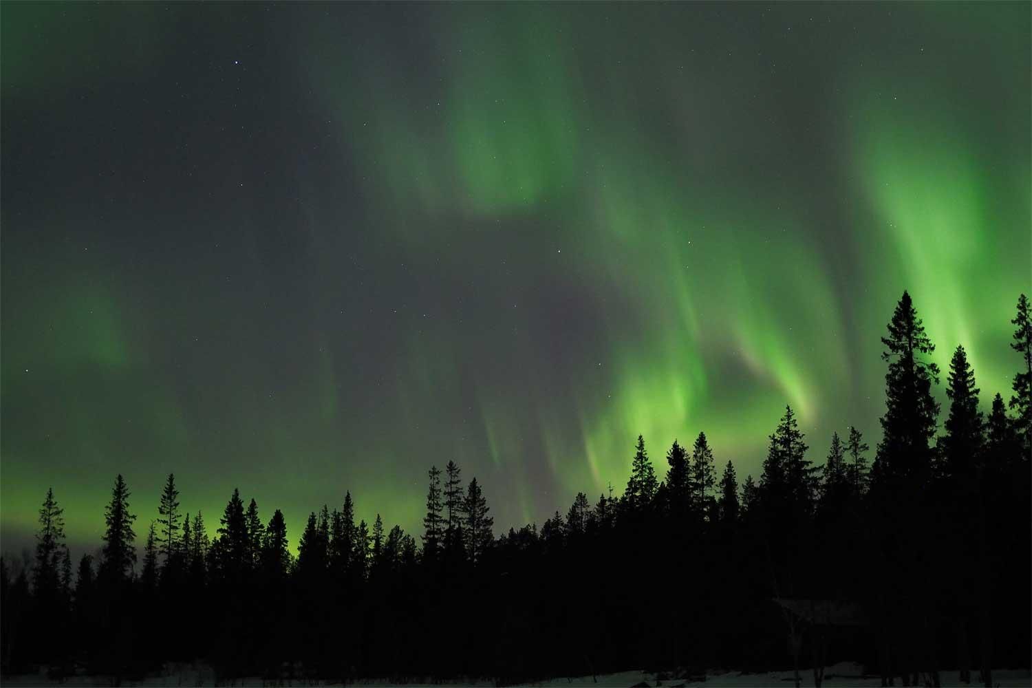 Luleå: Nordlichter-Tour mit dem Auto mit schwedischen Leckereien
