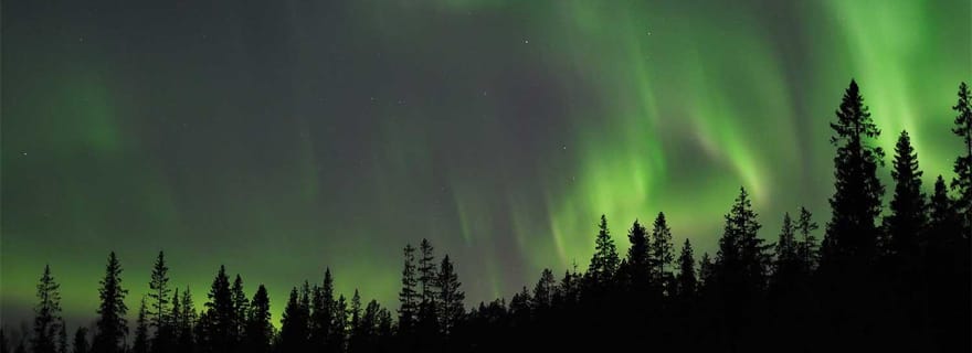 Luleå : excursion en voiture à la découverte des aurores boréales et des spécialités suédoises