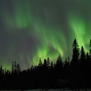 Luleå: Nordlichter-Tour mit dem Auto mit schwedischen Leckereien