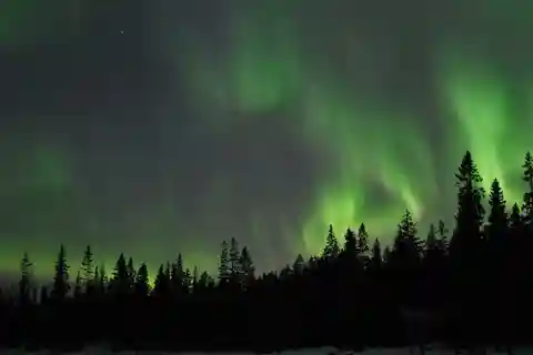 Luleå: Northern Lights Tour by Car with Guide