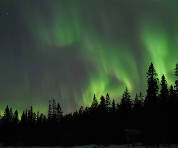Luleå: Northern Lights Tour by Car with Guide
