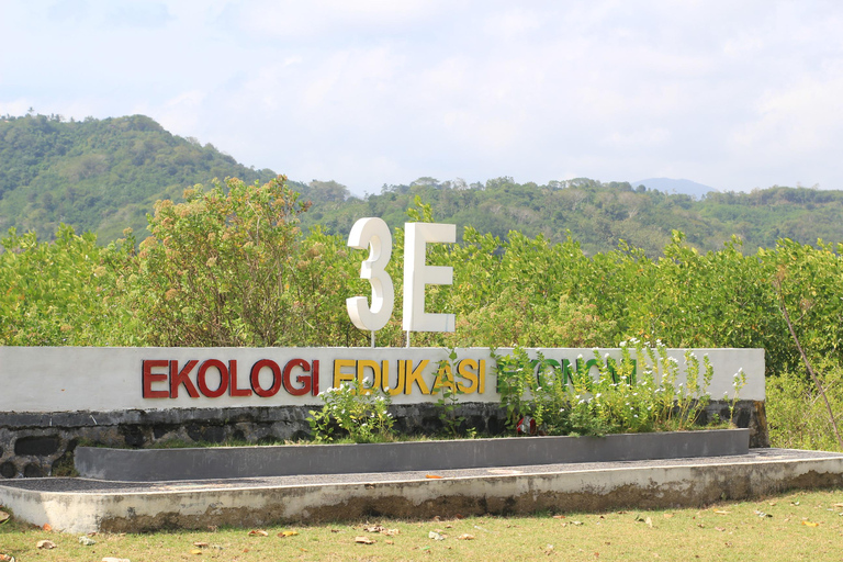 Bagek Kembar: Mangrove & Stingless Beekeeping Experience