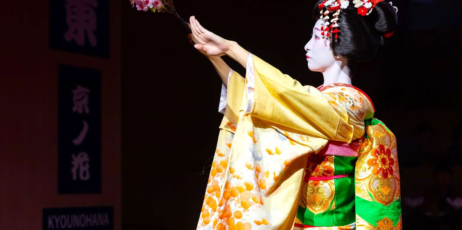 Kyoto experience — temples, geisha, bamboo grove — image 12