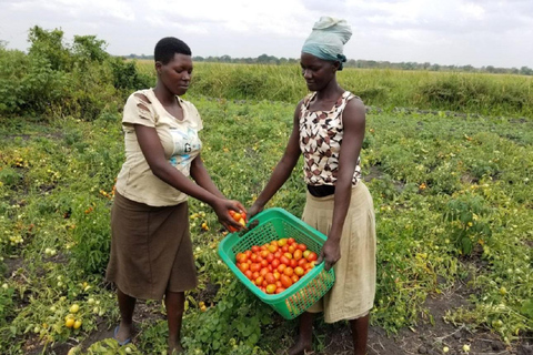 Uganda: Village Life Experience, Cooking Class & Farming