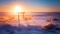 Tokyo, Ibaraki, Hitachi Park & ​​Warai Isisaki Shrine Day Trip - Housity