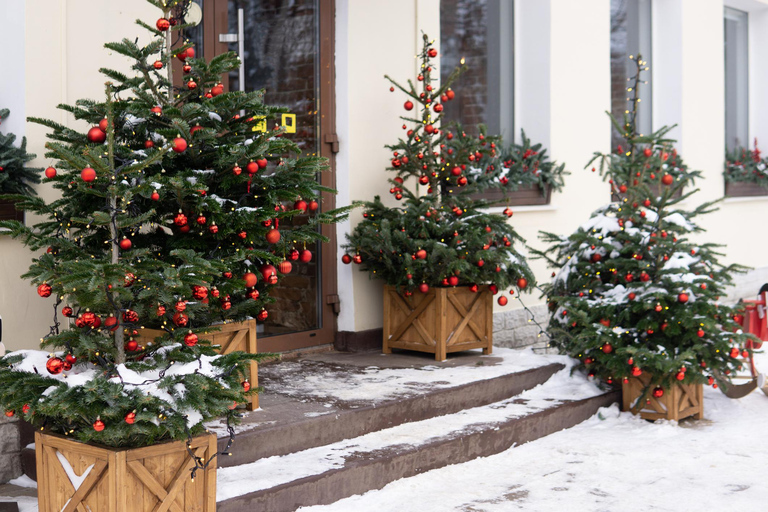 Positano&#039;s Kerstpracht: Een feestelijke culturele wandeling