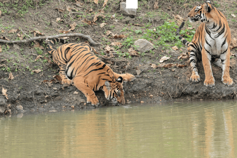 Excursión a Chitwan - Safari con rinocerontes en NepalChitwan