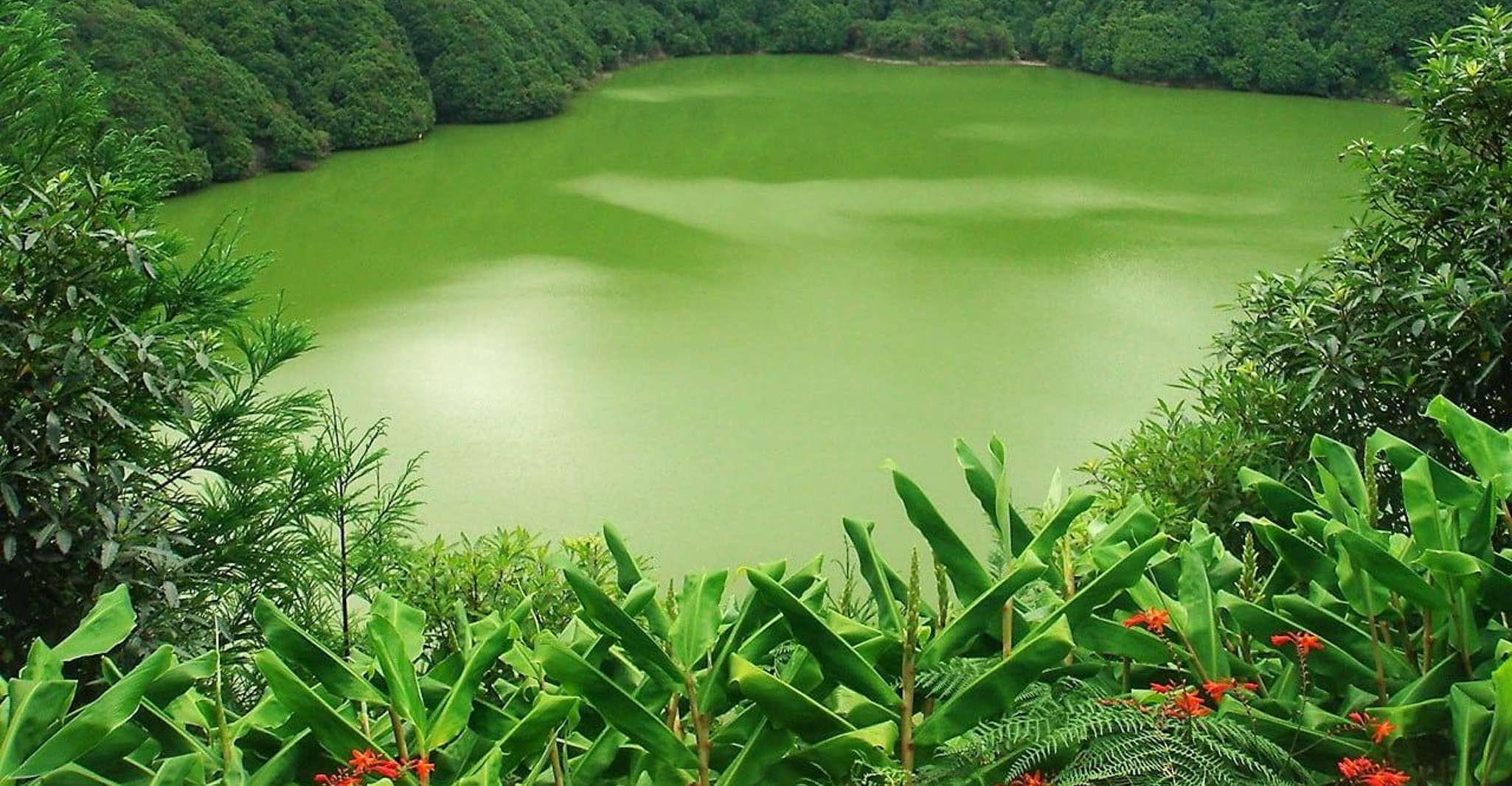 Shore Excursions to Volcano Crater and Lake of Sete Cidades - Housity