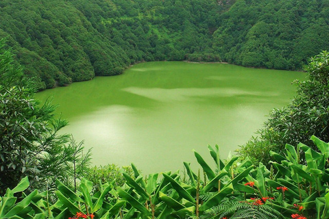 Guided Tour to the green & bleu Lake of Sete Cidades excursões em terra á Lagoa Verde e azul das sete cidades