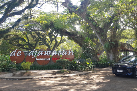 Explore Banyuwangi By Menara Timur Tour & Travel