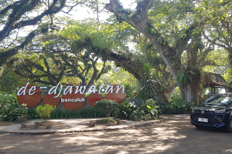 Explore Banyuwangi By Menara Timur Tour & Travel