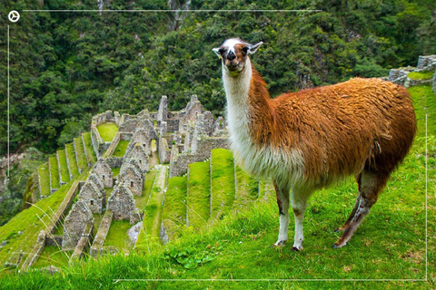 Inca Trail 2 days to Machu Picchu