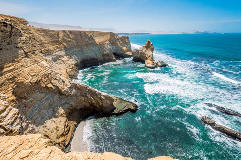 Desde Ica: Islas Ballestas y Reserva Nacional de Paracas ...