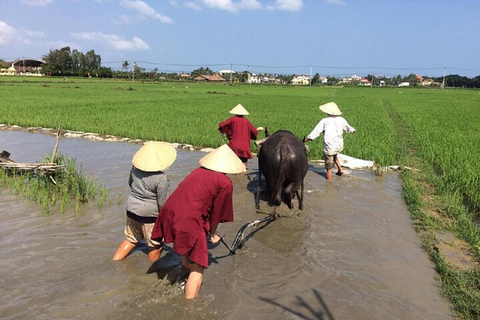 Hoi An Nassreisanbau Tour-Korb Bootstour Fischen-Mittagessen