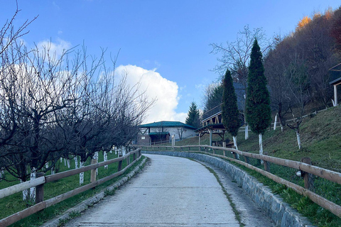 From Sarajevo: Visoko Pyramids, Plantations & Horse Riding Half-Day Farm Visit Only