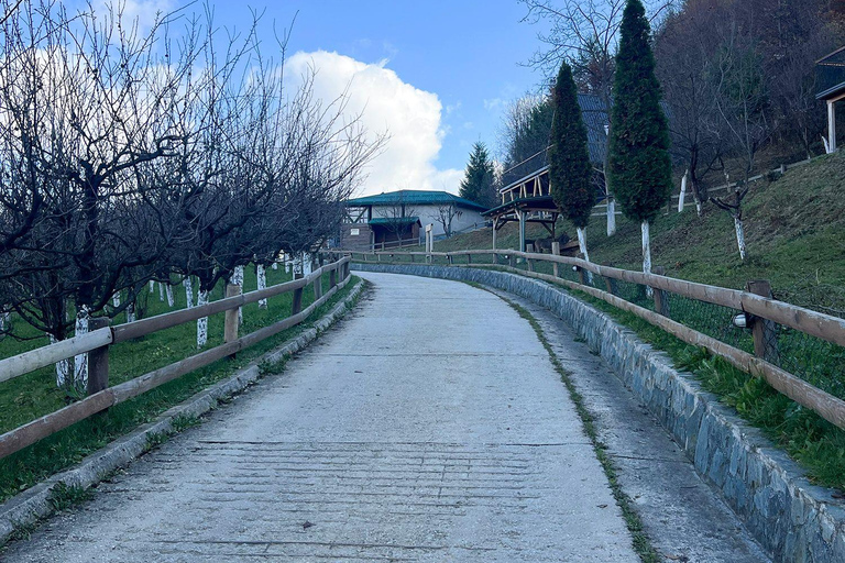 From Sarajevo: Visoko Pyramids, Plantations & Horse Riding Half-Day Farm Visit Only