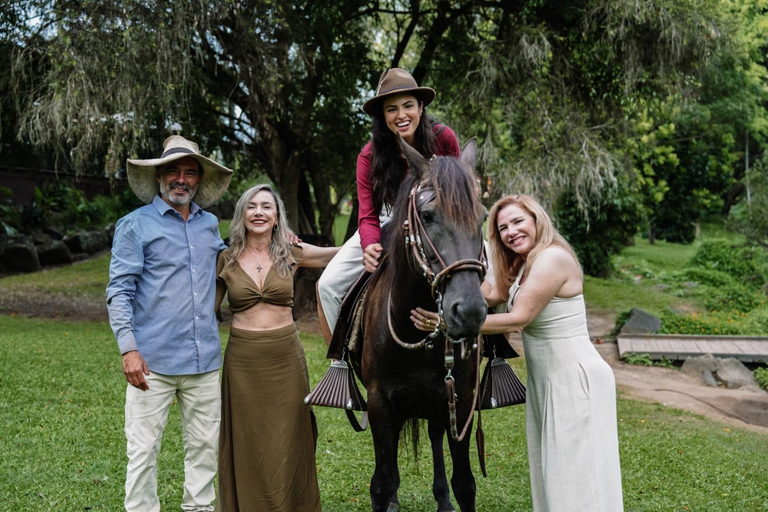 Morning with Horses, Alpacas, Turtles & Breakfast