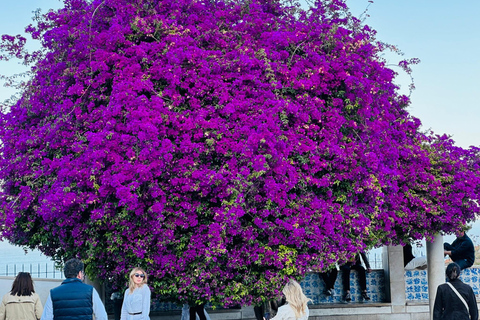 Lisbon: Historic City Tour by Tuk-TukExpress Belém Tour