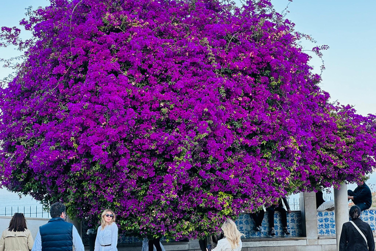 Lisbon: Historic City Tour by Tuk-TukExtended Old Town and Belém Tour