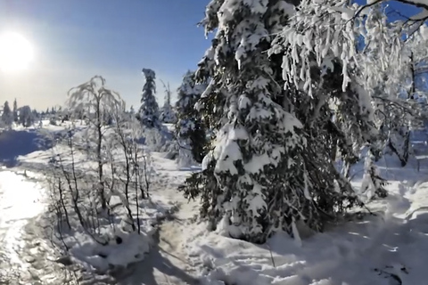 Rovaniemi: Local Guide Riisitunturi National Park Day Trip