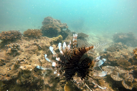 Golden Horizon of Krabi: 4 Islands & Phra Nang Sunset