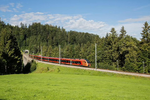 Zurich: Hardcore Swiss Train Tour–4 Scenic Railways in 1 day Excluding Train Tickets