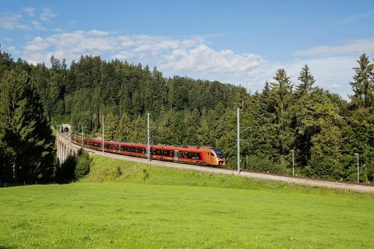 Zurich: Hardcore Swiss Train Tour–4 Scenic Railways in 1 day Excluding Train Tickets
