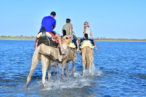 Djerba 1H30 balade à dos de chameau