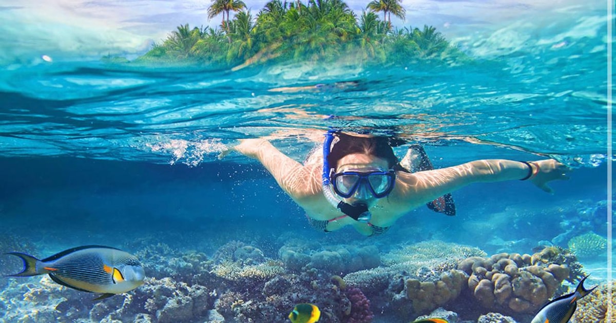 Slots Roatan Roatan Snorkeling + Sloths | GetYourGuide