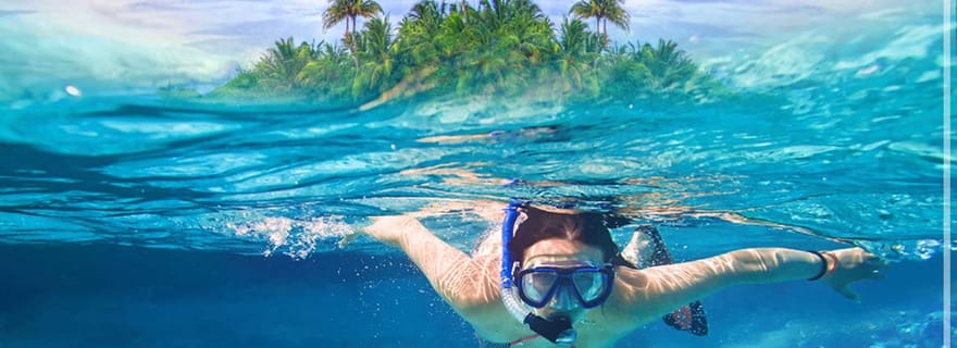 Roatan Snorkeling + paresseux