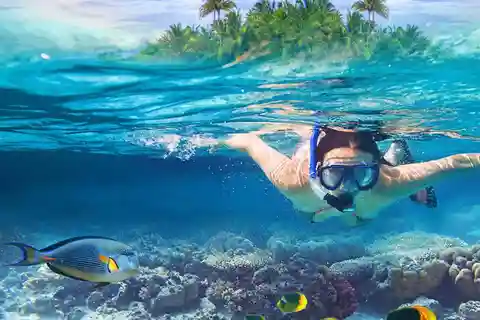Roatan Snorkeling + Sloths