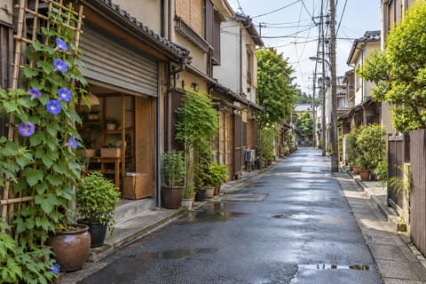 Tokyo: Samurai Sword & Ninja Lesson + Asakusa by Private Van
