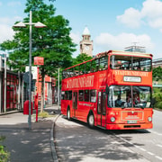 Hamburg: Hop-On Hop-Off Bus with Harbor Cruise