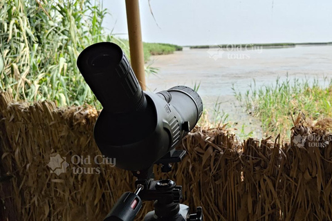 Shirvan Eco-Tour: Gazelles, Birdwatching & Village Lunch Private tour