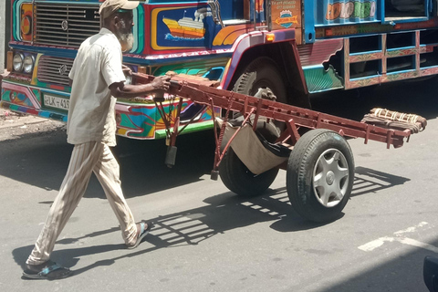 Colombo Sightseeing Private Tour by Tuk Tuk MorningOREvening