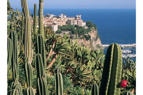 From Nice: Day Tour of Eze, Monaco and Monte-Carlo Private Tour