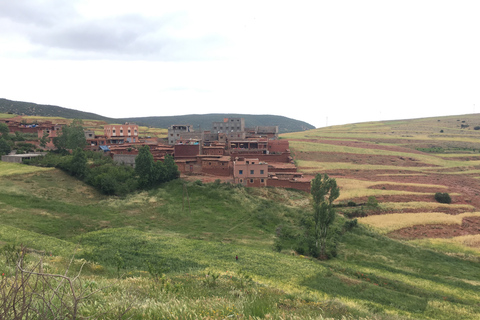 Marrakech: Montañas del Atlas, Valle del Ourika, almuerzo y paseo en camello