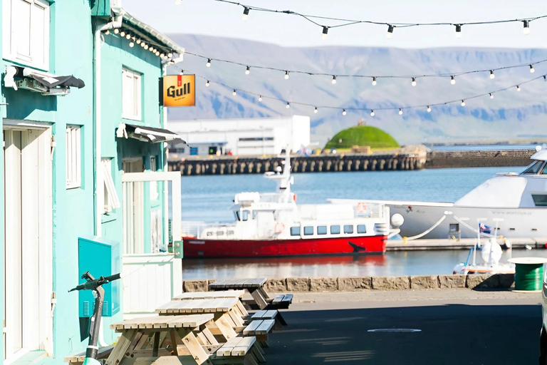 Reykjavik: tour a piedi sulla storia marittima